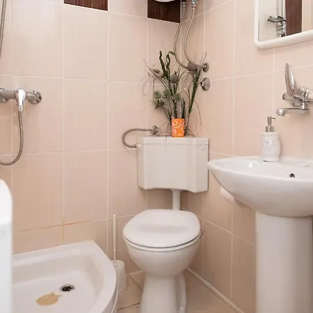 Andela סקארדין